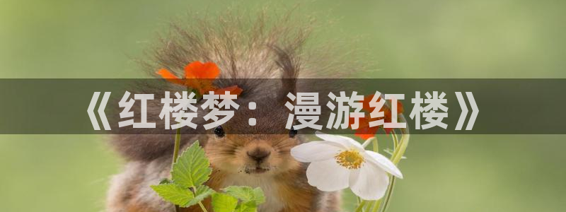 包子漫画图
