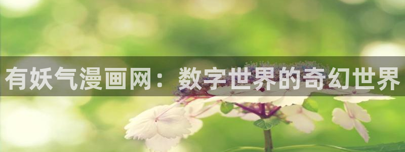 好用的包子漫画首页