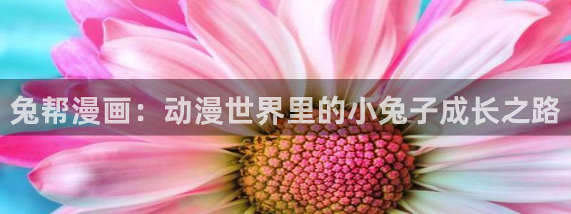 包子漫画在线官方页面入口