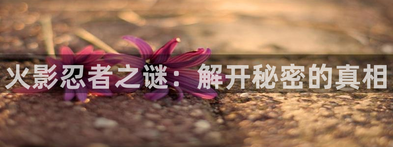 包子漫画破解版的无广告2024