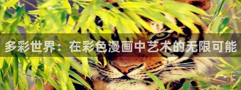 斗罗大陆漫画包子漫画