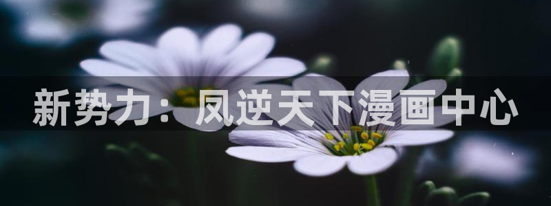 《请多关照》包子漫画