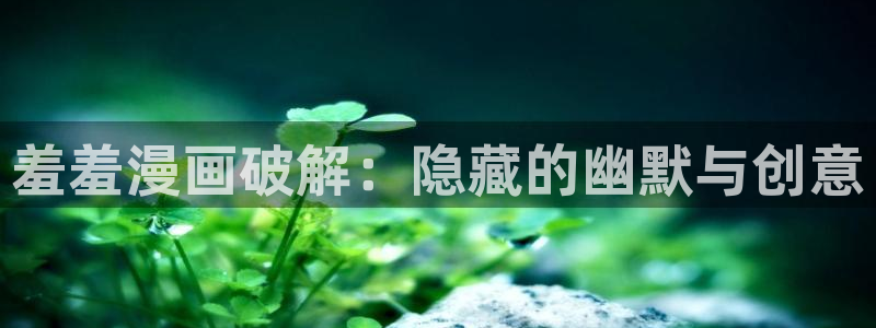包子漫画官方页面入口
