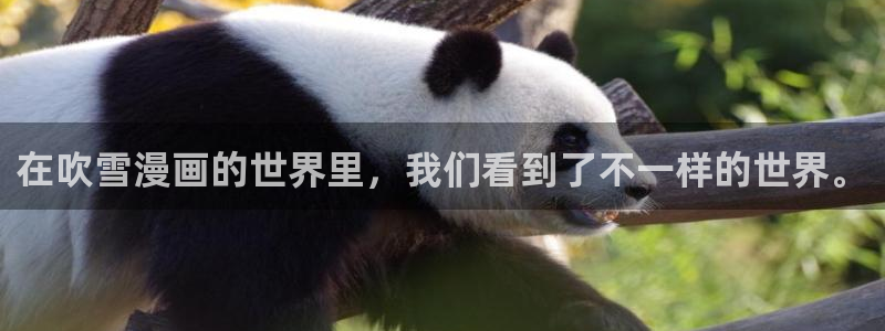 包子漫画在线使用