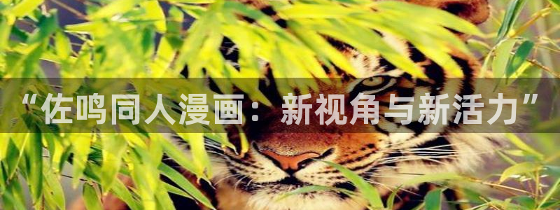 包子漫画网站